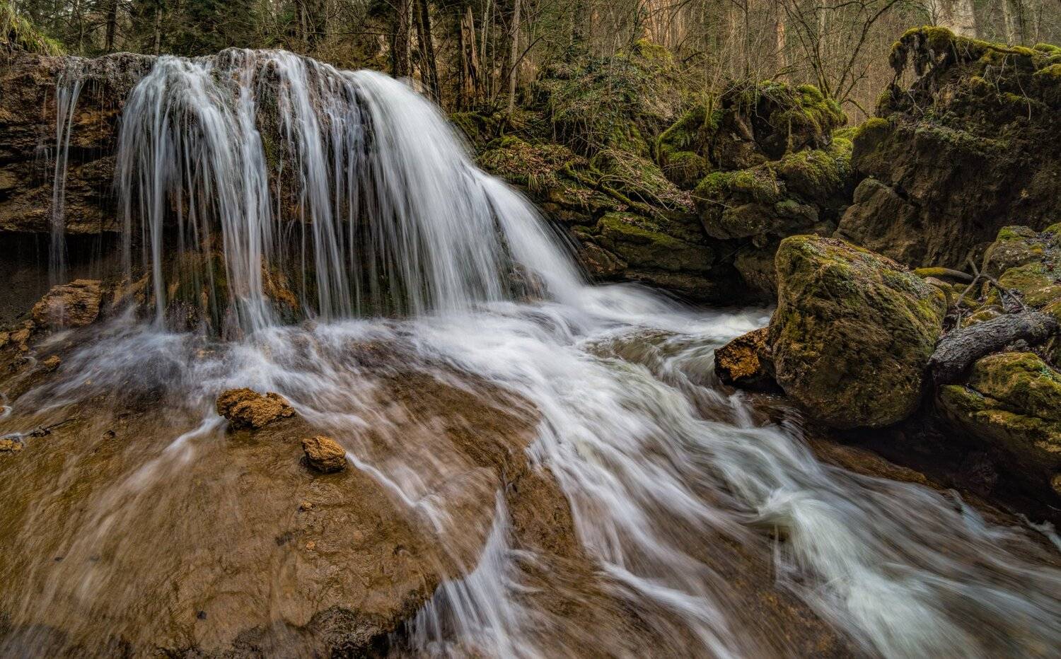 , Alexander Plekhanov