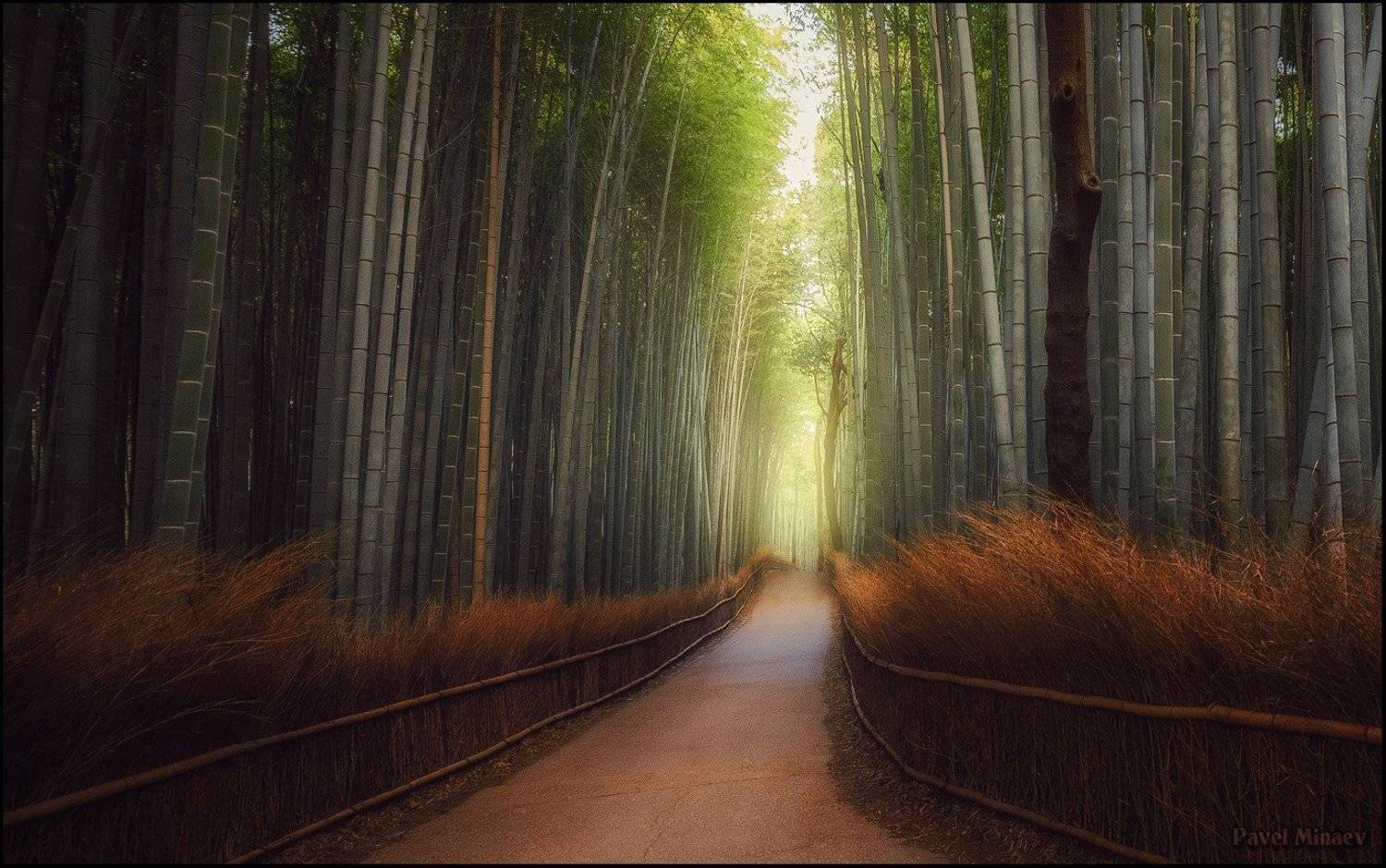 , Минаев Павел