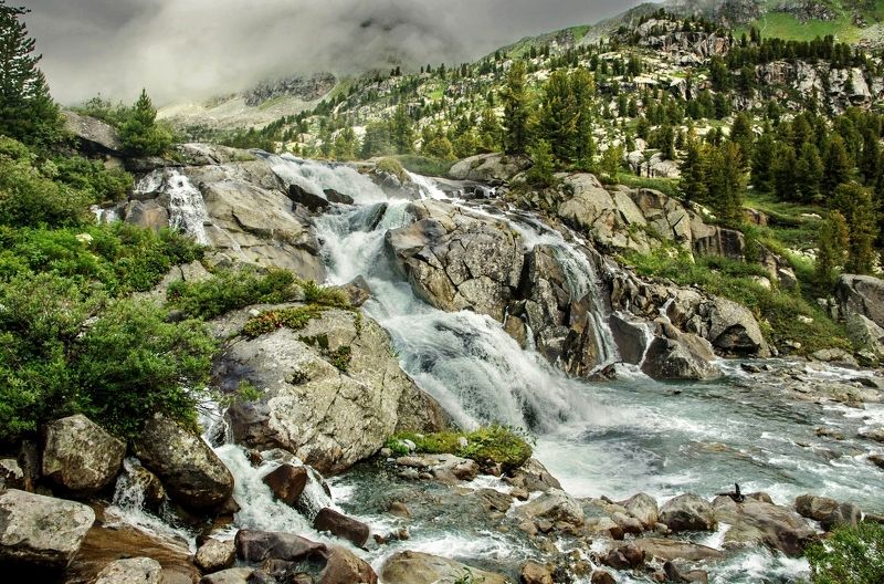 русые косы  Дарашколя фото превью