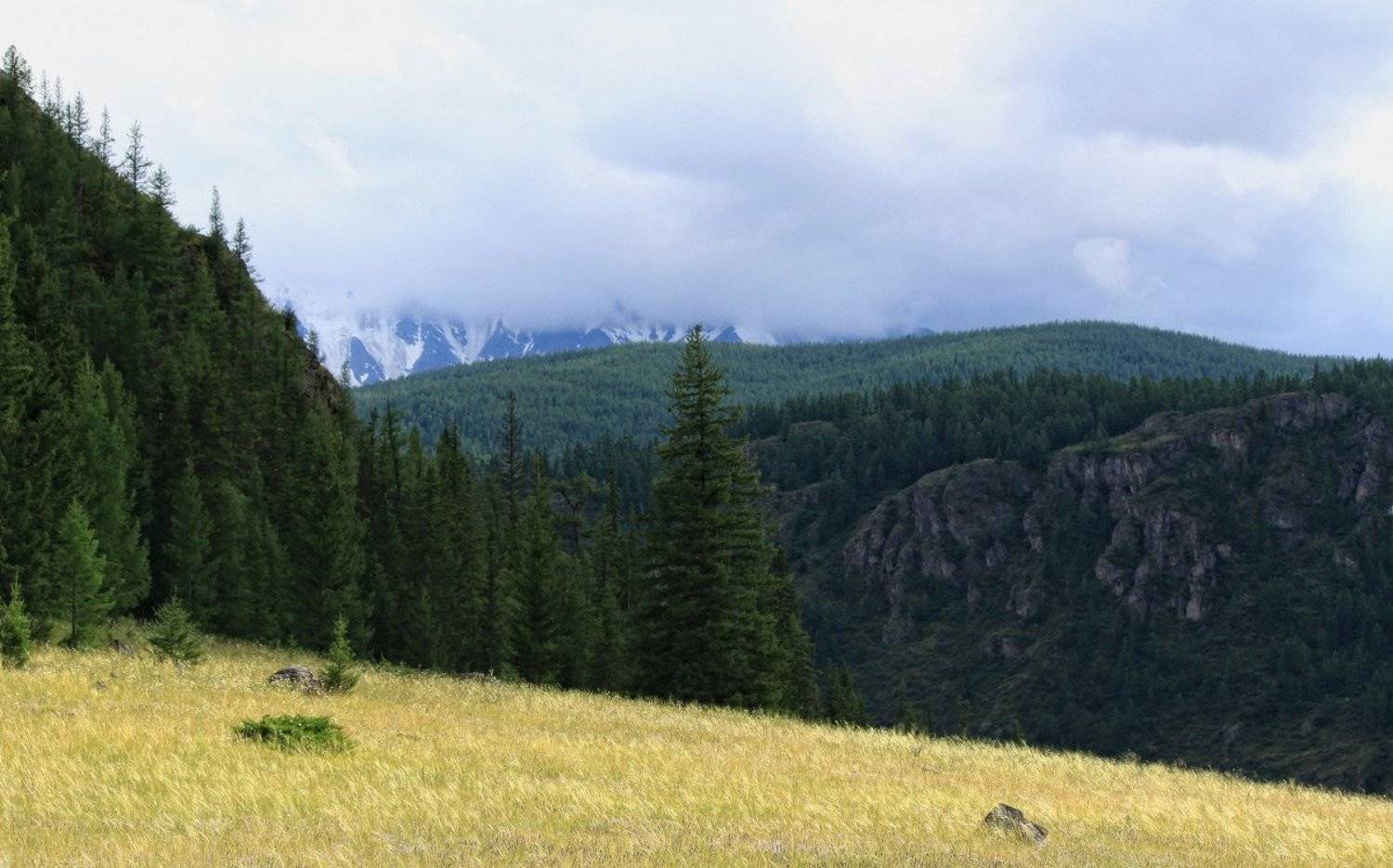 алтай, горный алтай, северо-чуйский хребет, Галина Хвостенко