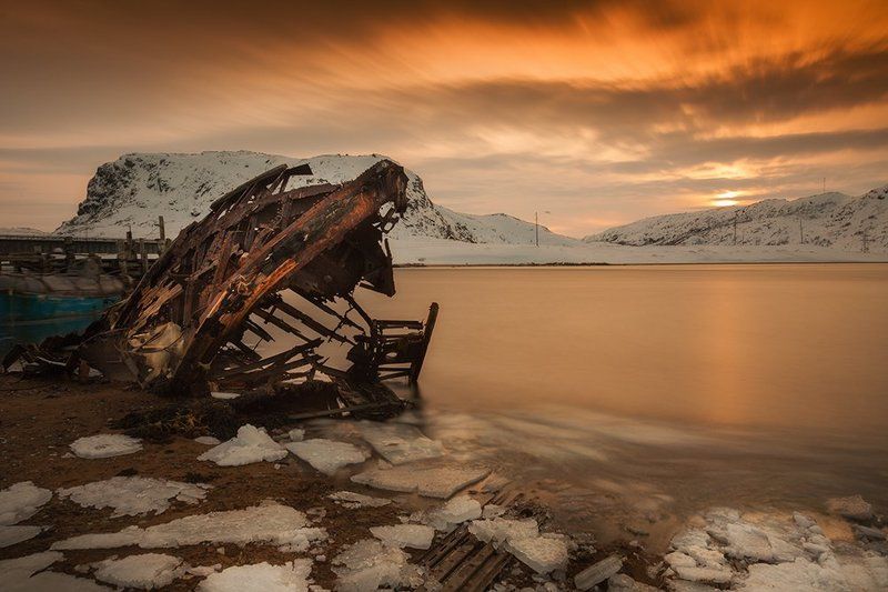 Рыба фото превью