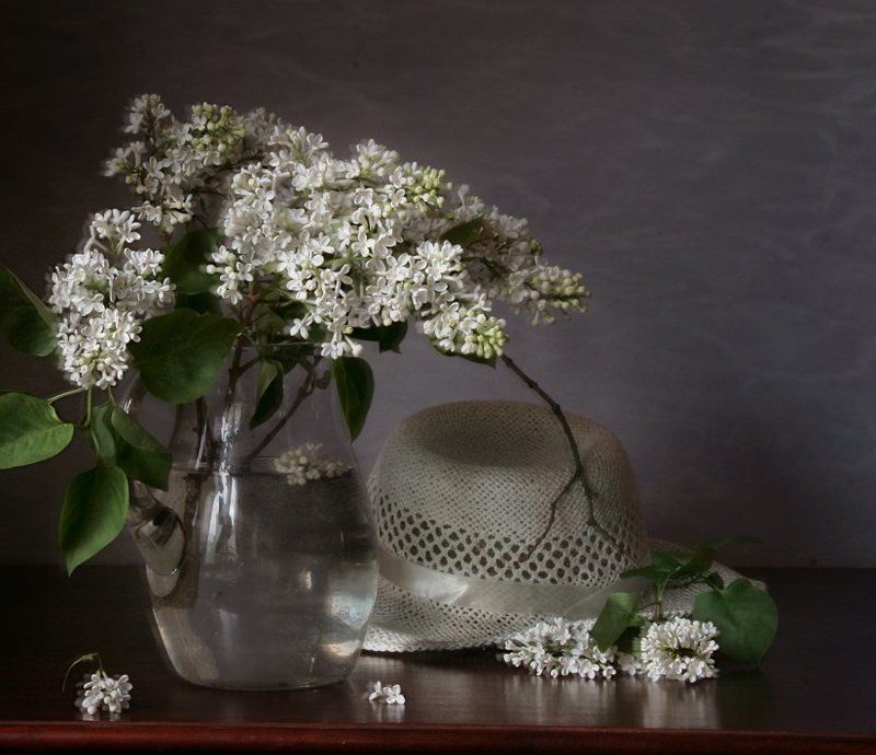 Белая сирень, Весна, Натюрморт, Сирень, Фотонатюрморт Шляпа фото превью