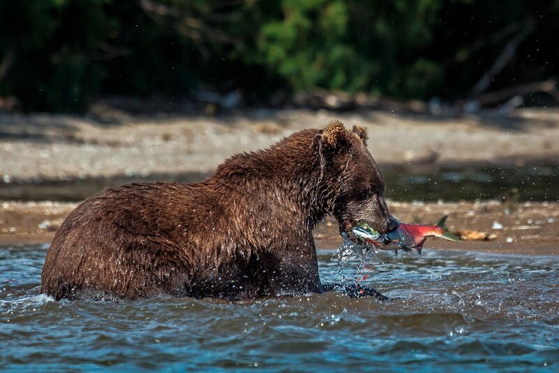 Рыбак фото превью