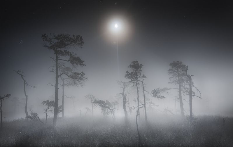 Под лунным сиянием  фото превью