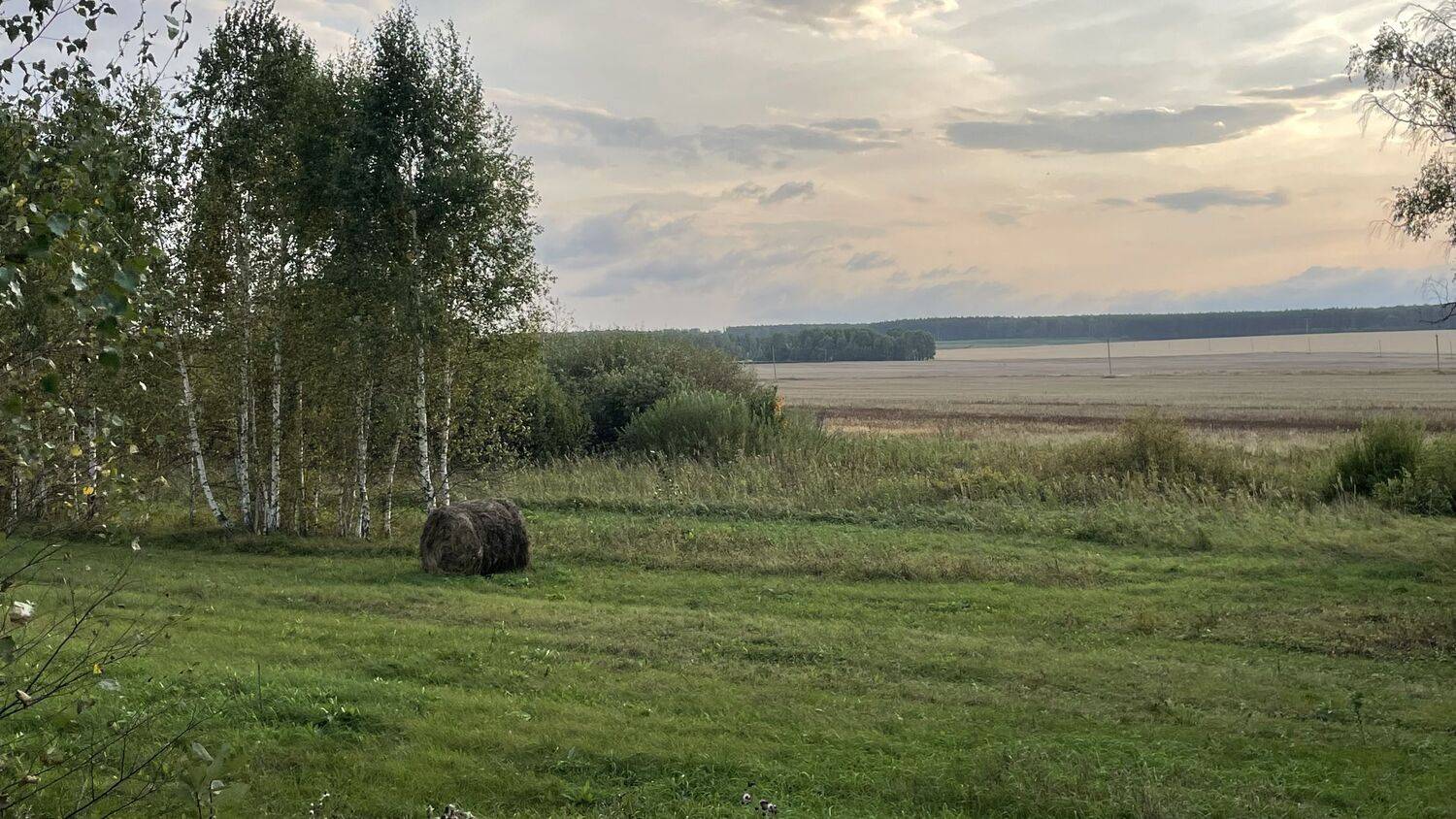 , Ксения Ясюченя
