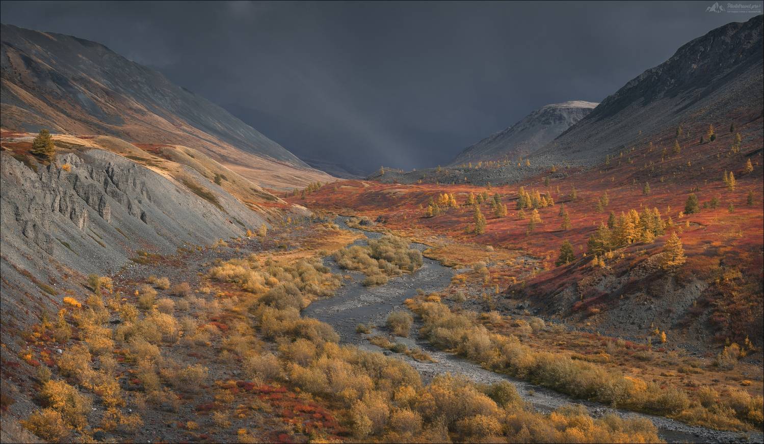 горный алтай, джазатор, беляши, фототур на алтай, осенний фототур на алтай, укок, фототуры 2026, фототуры по россии 2026, Влад Соколовский