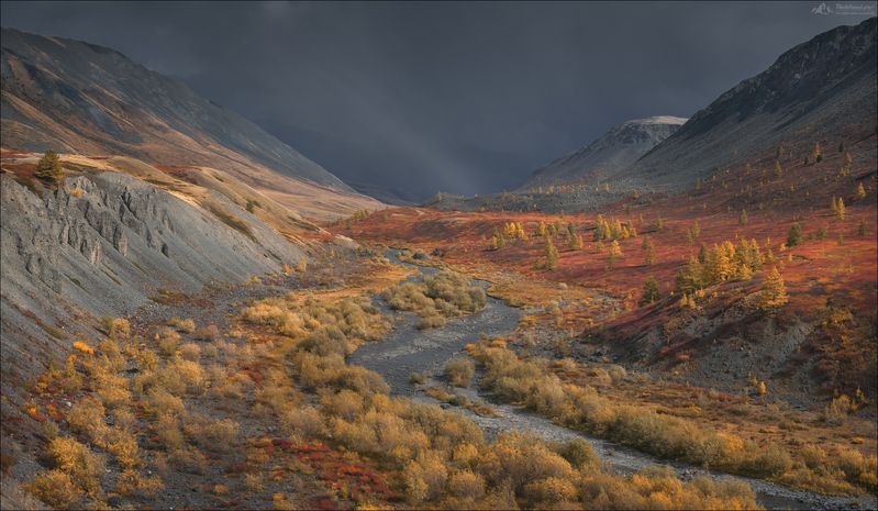 горный алтай, джазатор, беляши, фототур на алтай, осенний фототур на алтай, укок, фототуры 2026, фототуры по россии 2026 Временами дождь .. фото превью