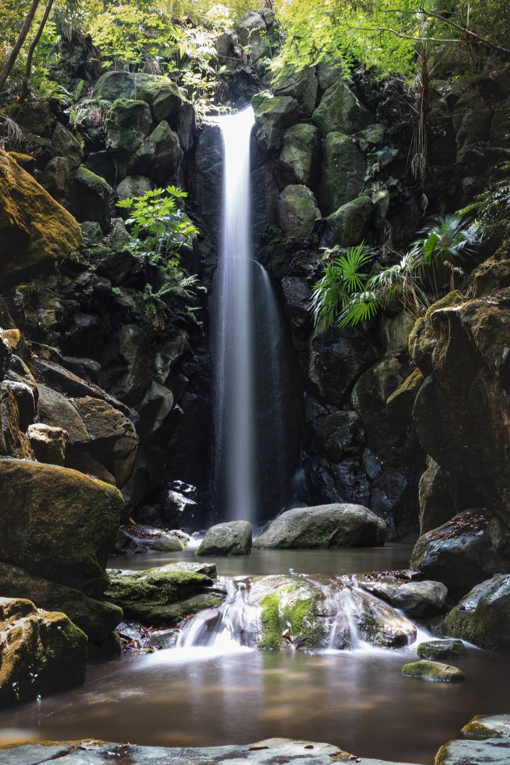 #Water #Water resources #Plant #Fluvial landforms of streams #Natural landscape #Nature #Leaf #Spring #Botany #Waterfall, Shpek Andrey