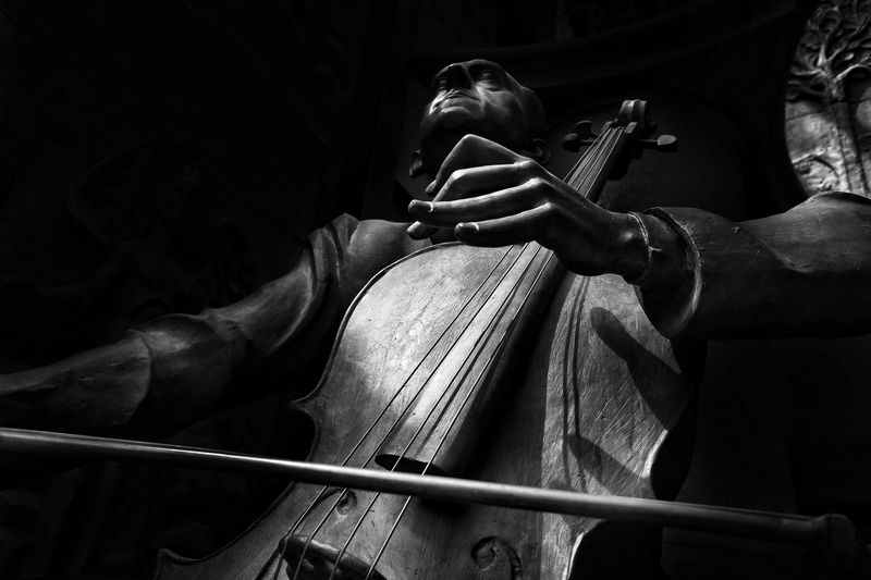 единство, чувства, музыкант Единение фото превью