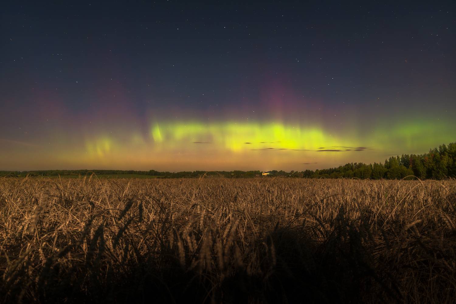 , Евгений Чикишев