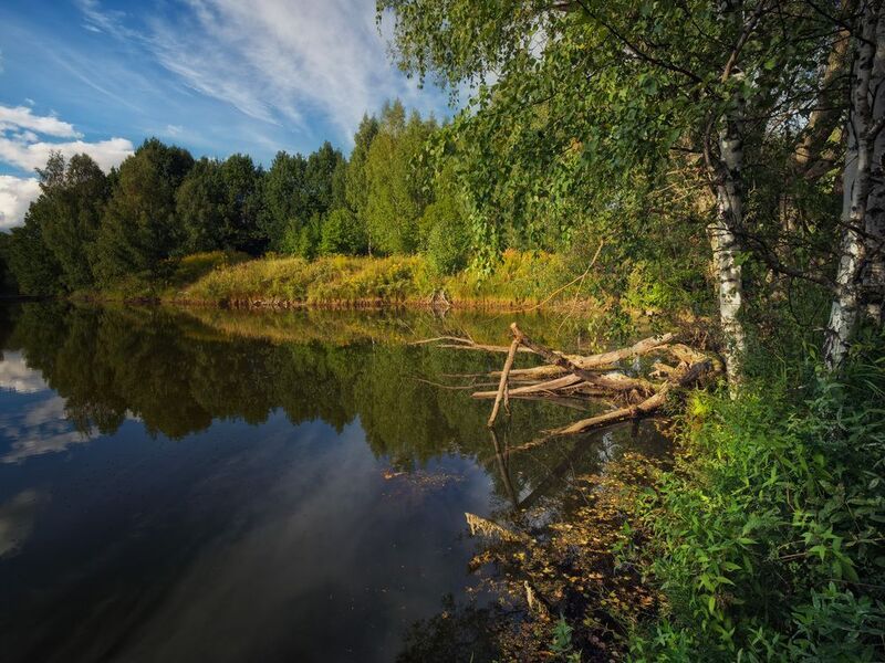 россия, пруд, чувашия, природа Маленький пруд фото превью