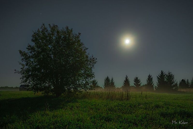В свете полной луны фото превью