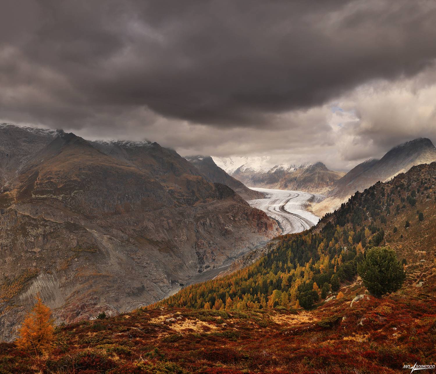swiss, Матвеев Николай
