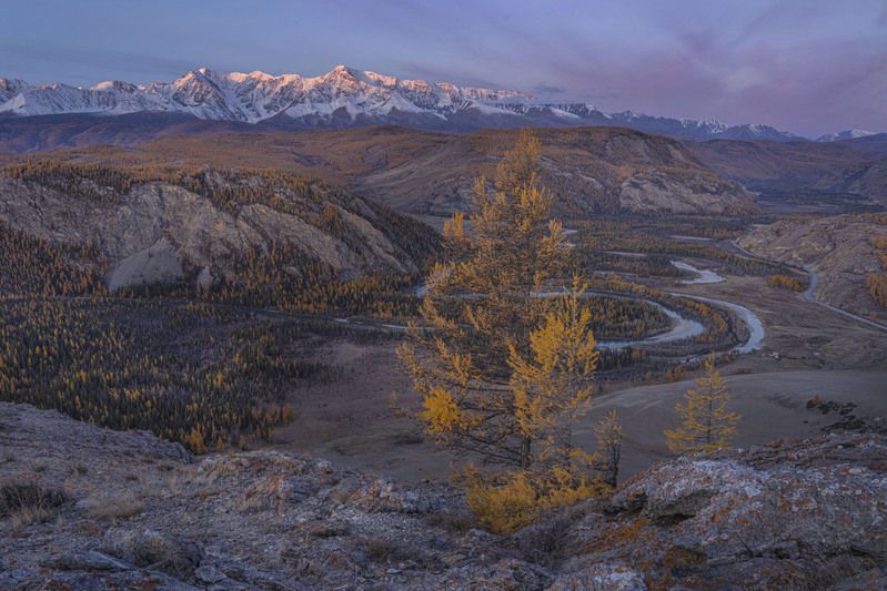 алтай, осень, меандры, чуя Осенний Алтай фото превью