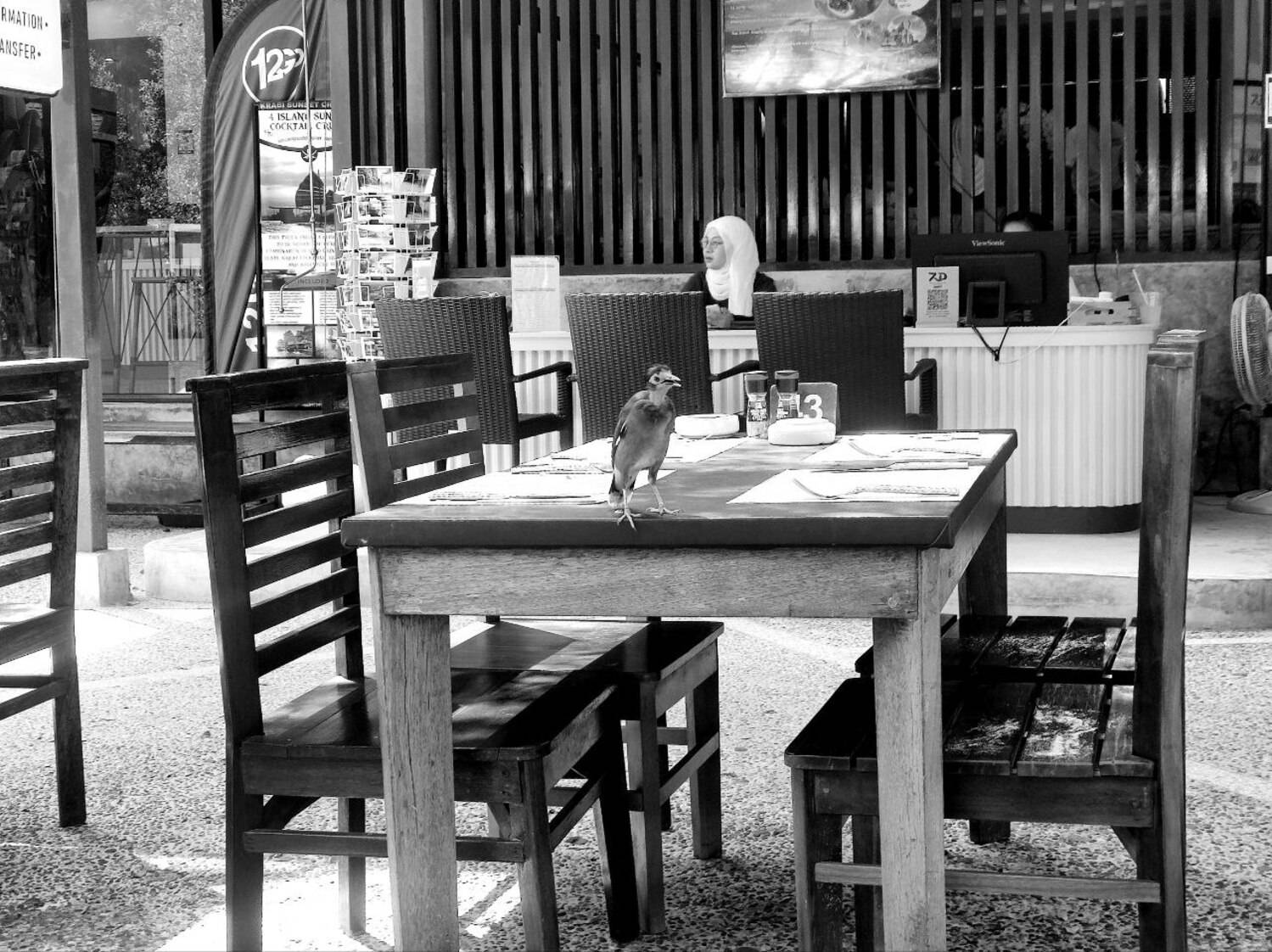 curiosity, b&w, жанр, сюжет, Karina Yakovleva