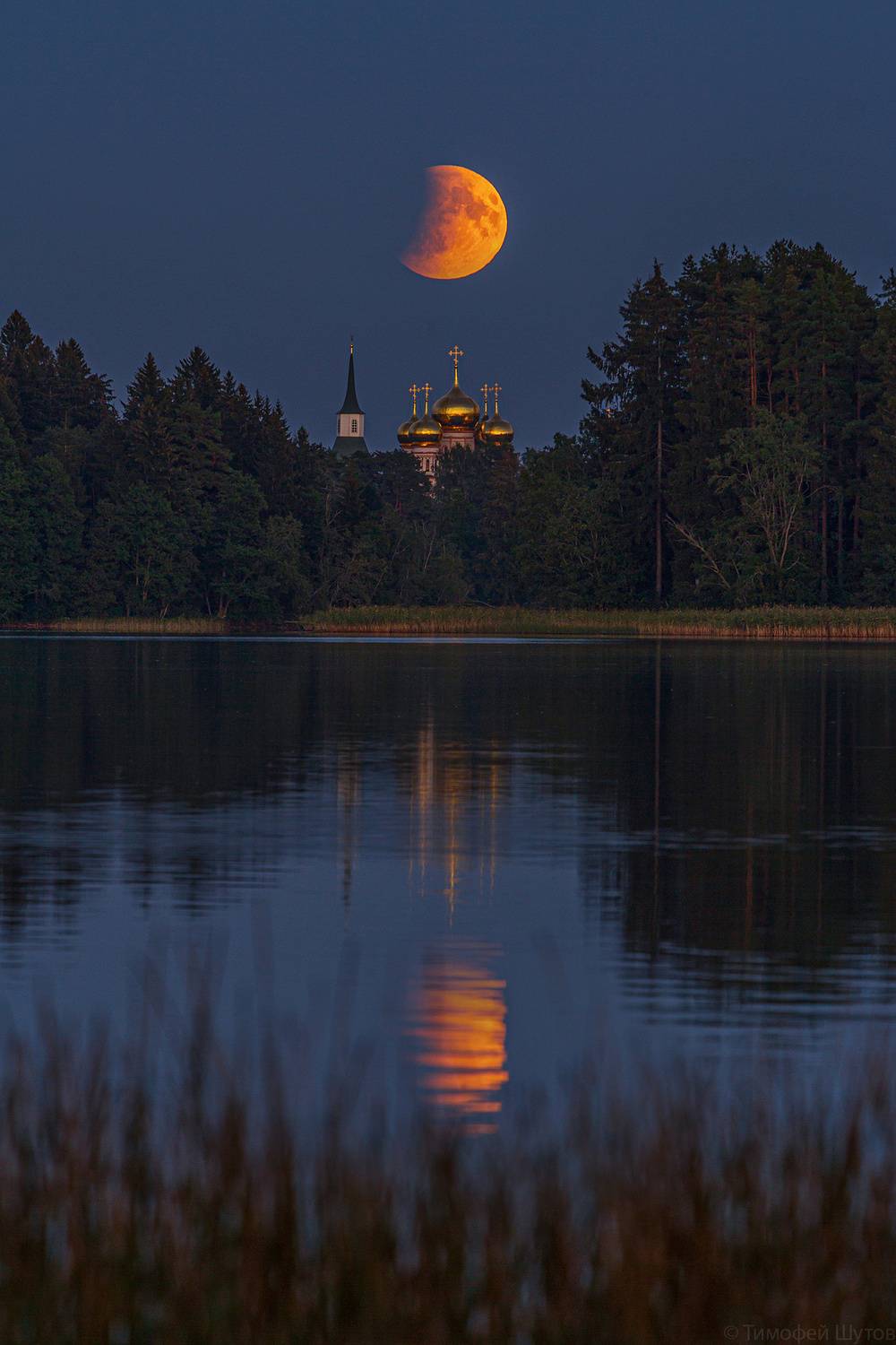 лунноезатмение2025, Тимофей Шутов