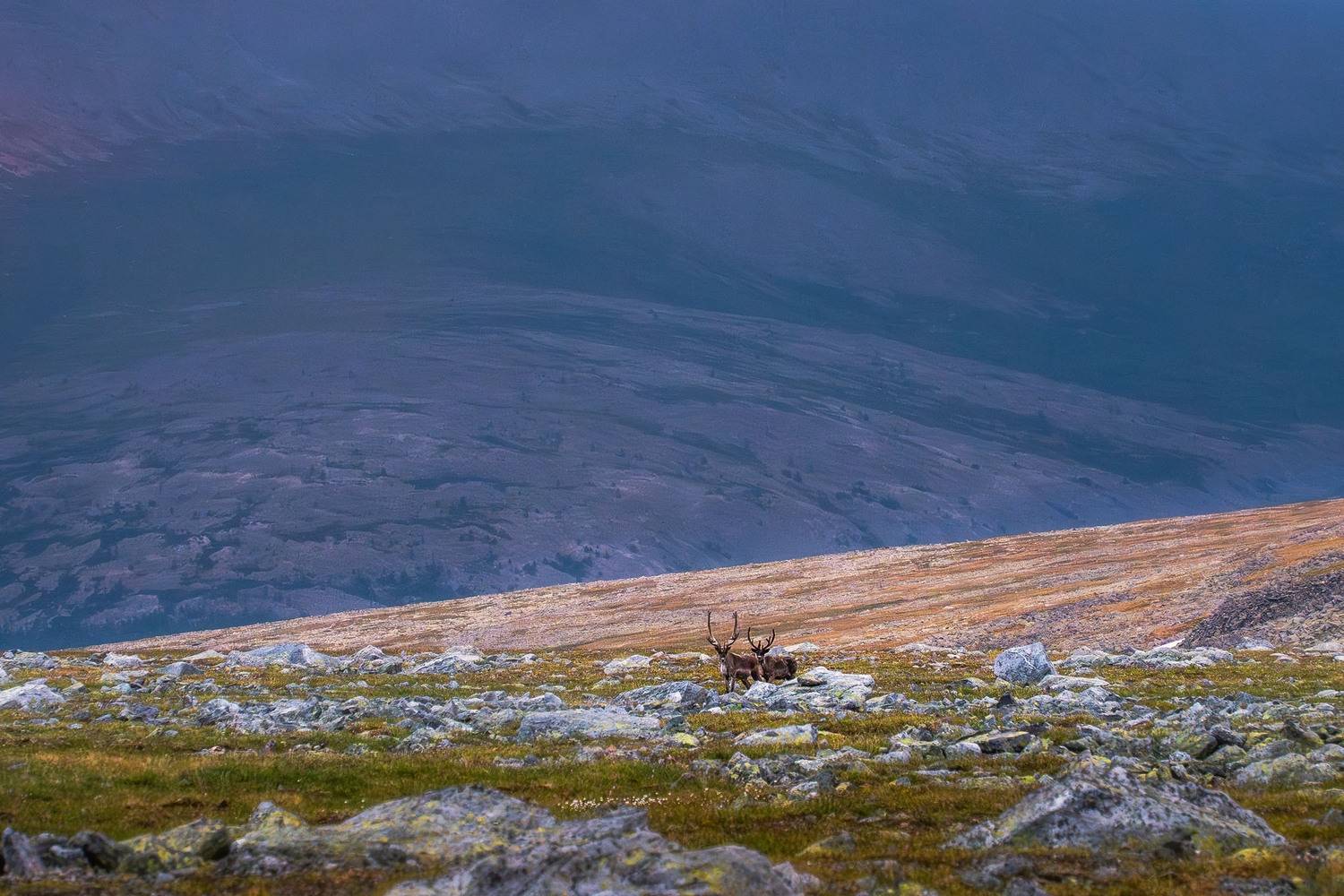 , Межин Сергей