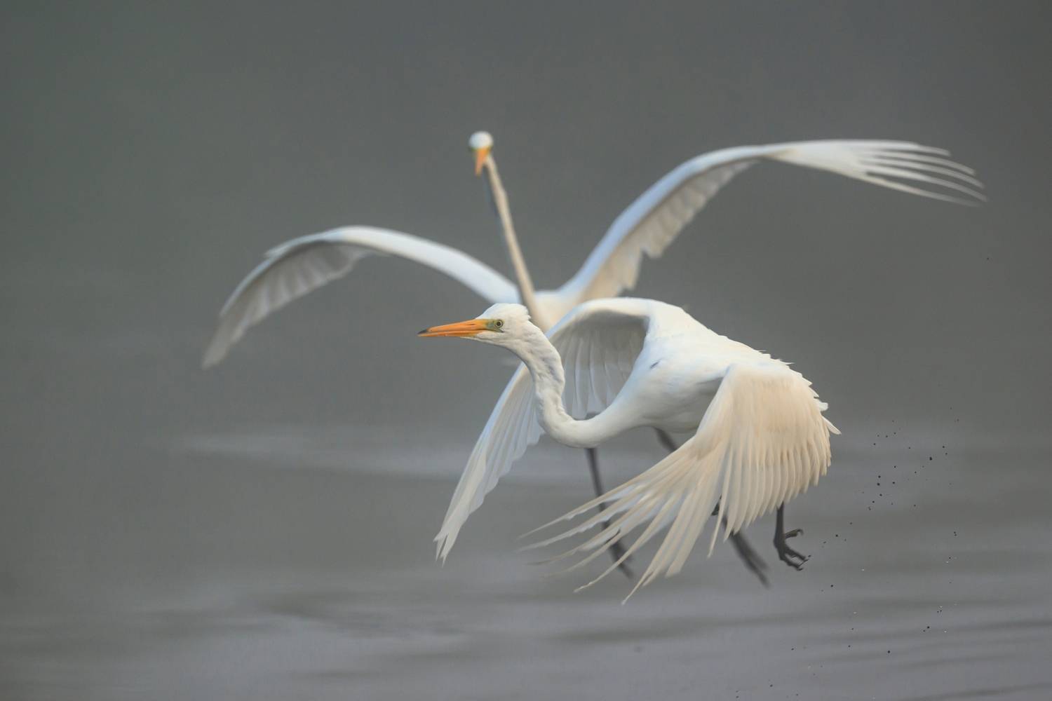 , Пупонин Сергей