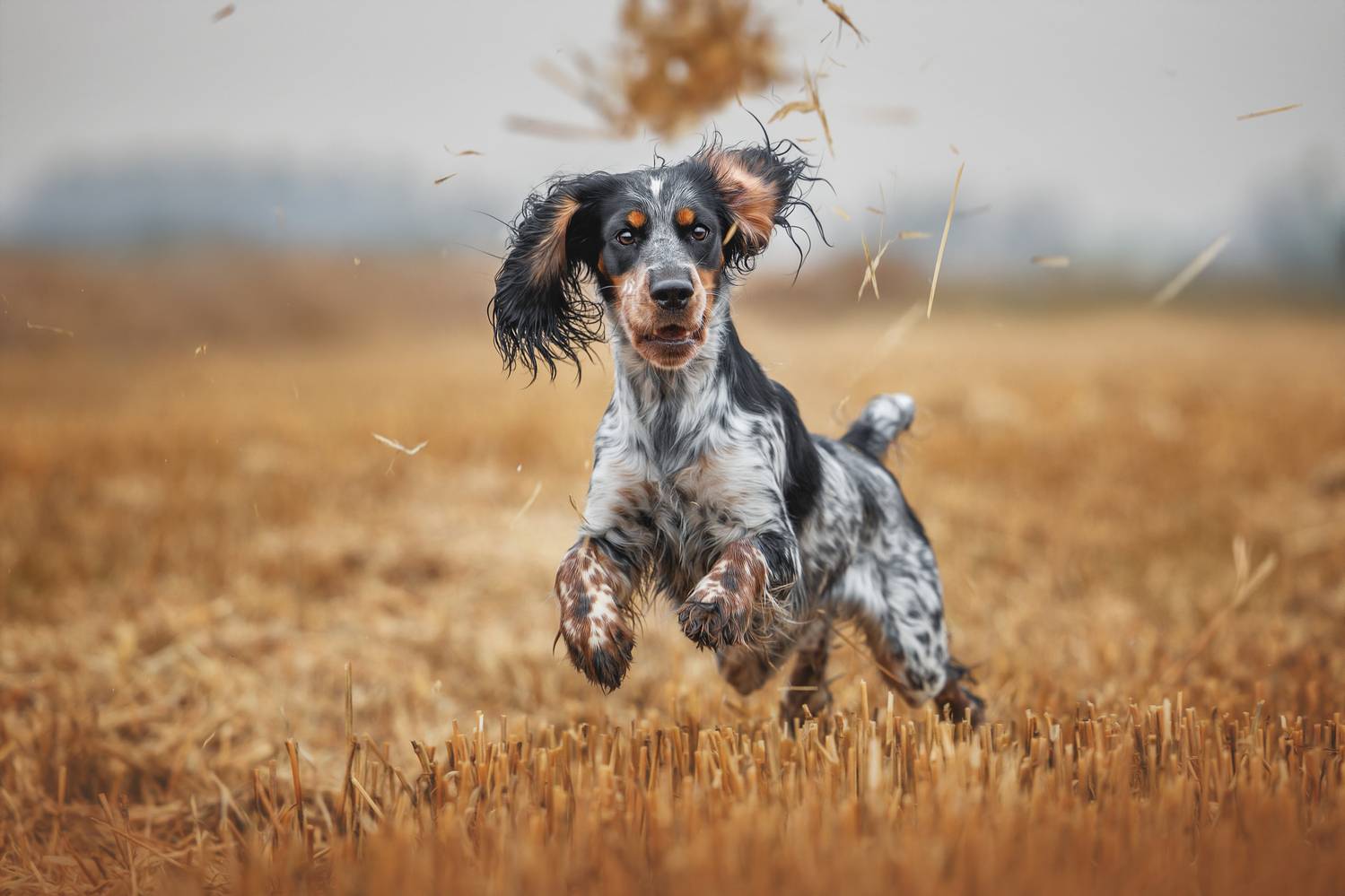 , Яна Нарбутович