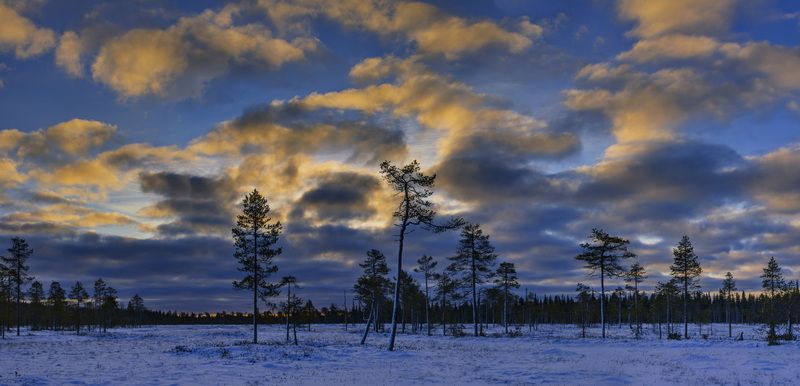На болотах зимника в Кировск фото превью