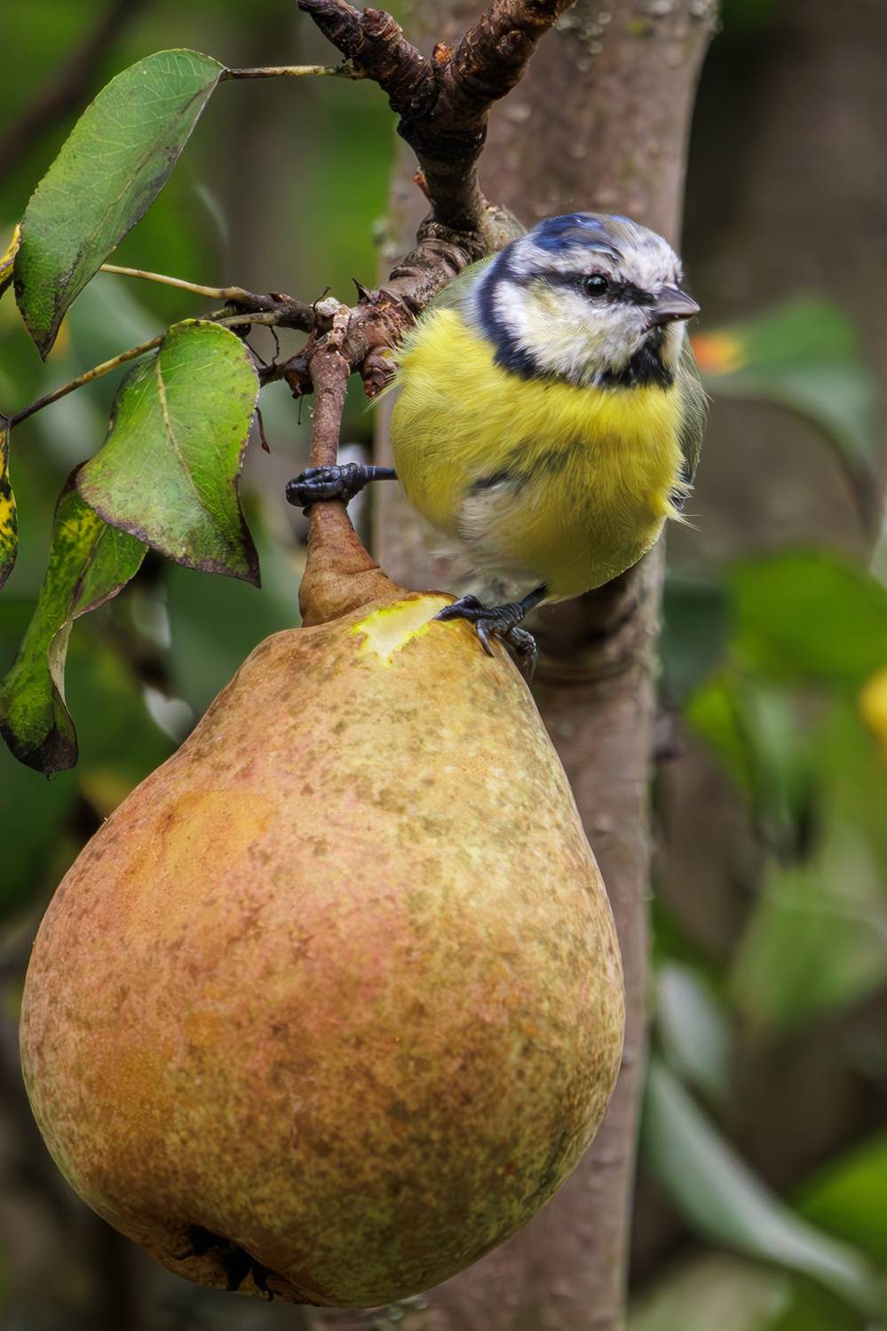 , Морозов Сергей