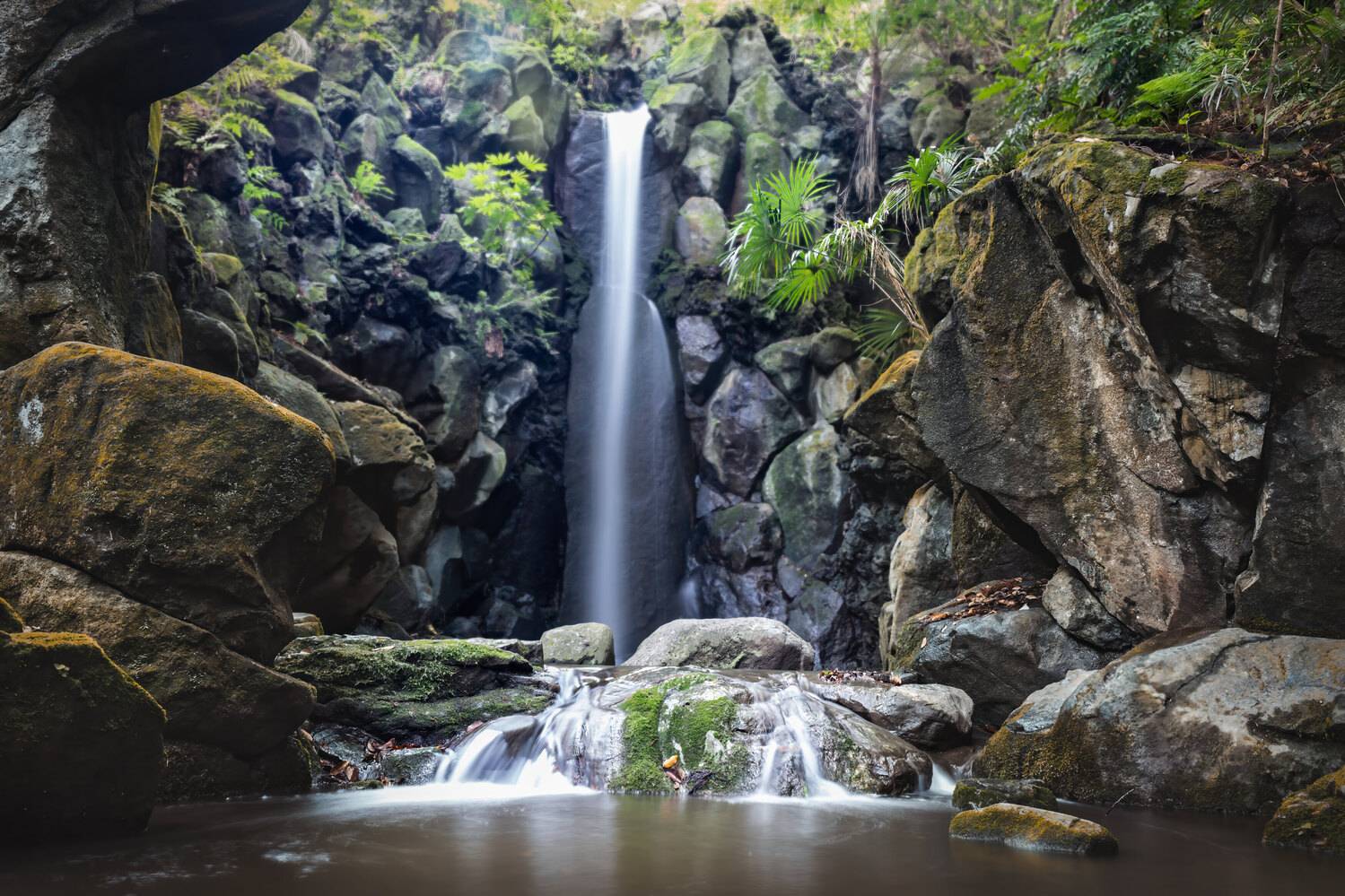 #Water #Water resources #Plant #Fluvial landforms of streams #Natural landscape #Nature #Leaf #Spring #Botany #Waterfall, Shpek Andrey