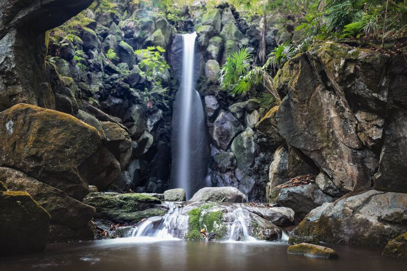 #Water #Water resources #Plant #Fluvial landforms of streams #Natural landscape #Nature #Leaf #Spring #Botany #Waterfall Waterfall фото превью