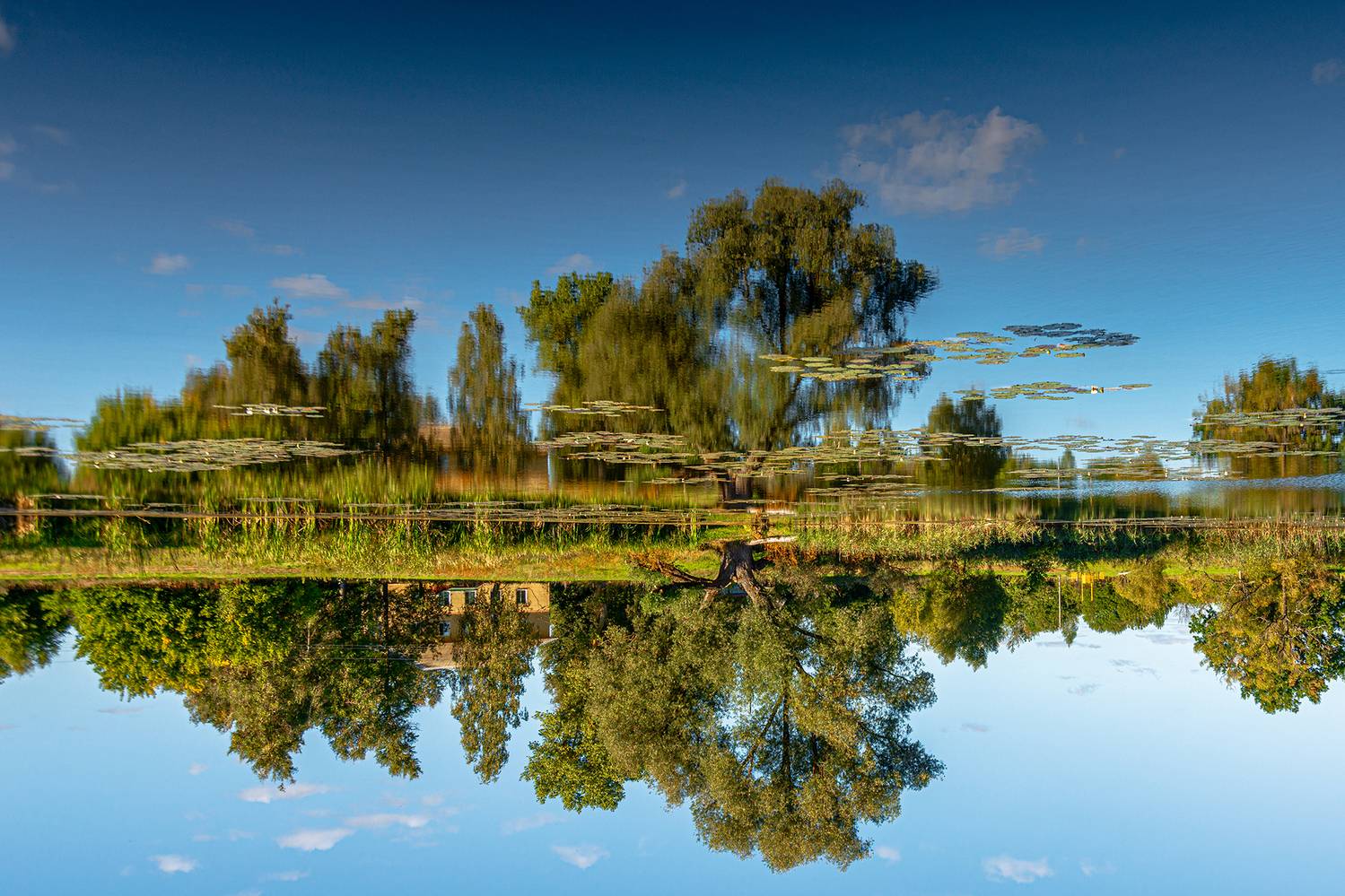 , Владимир Ноздрачев