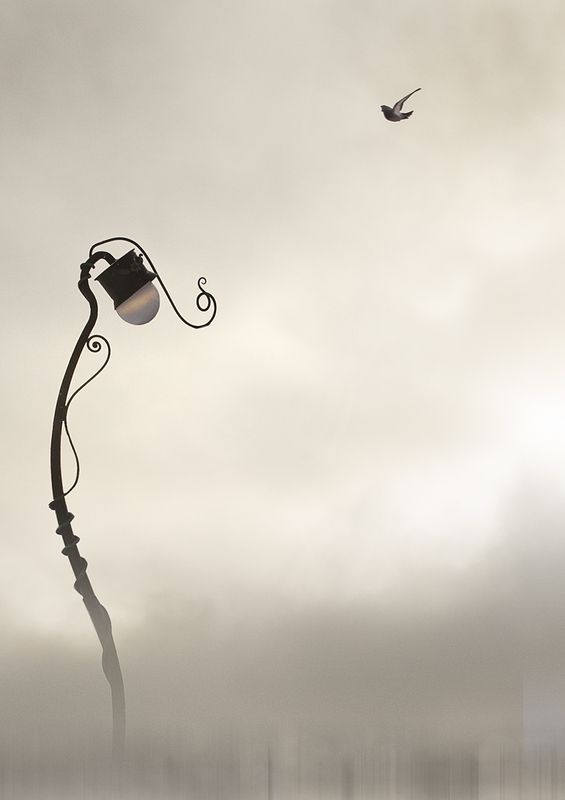 Лечу-у-у!    Свечу-у-у! фото превью