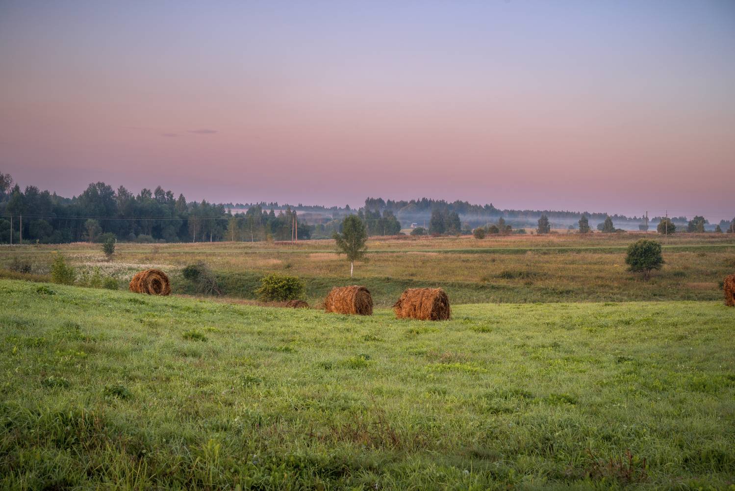 , Сережин Сережа