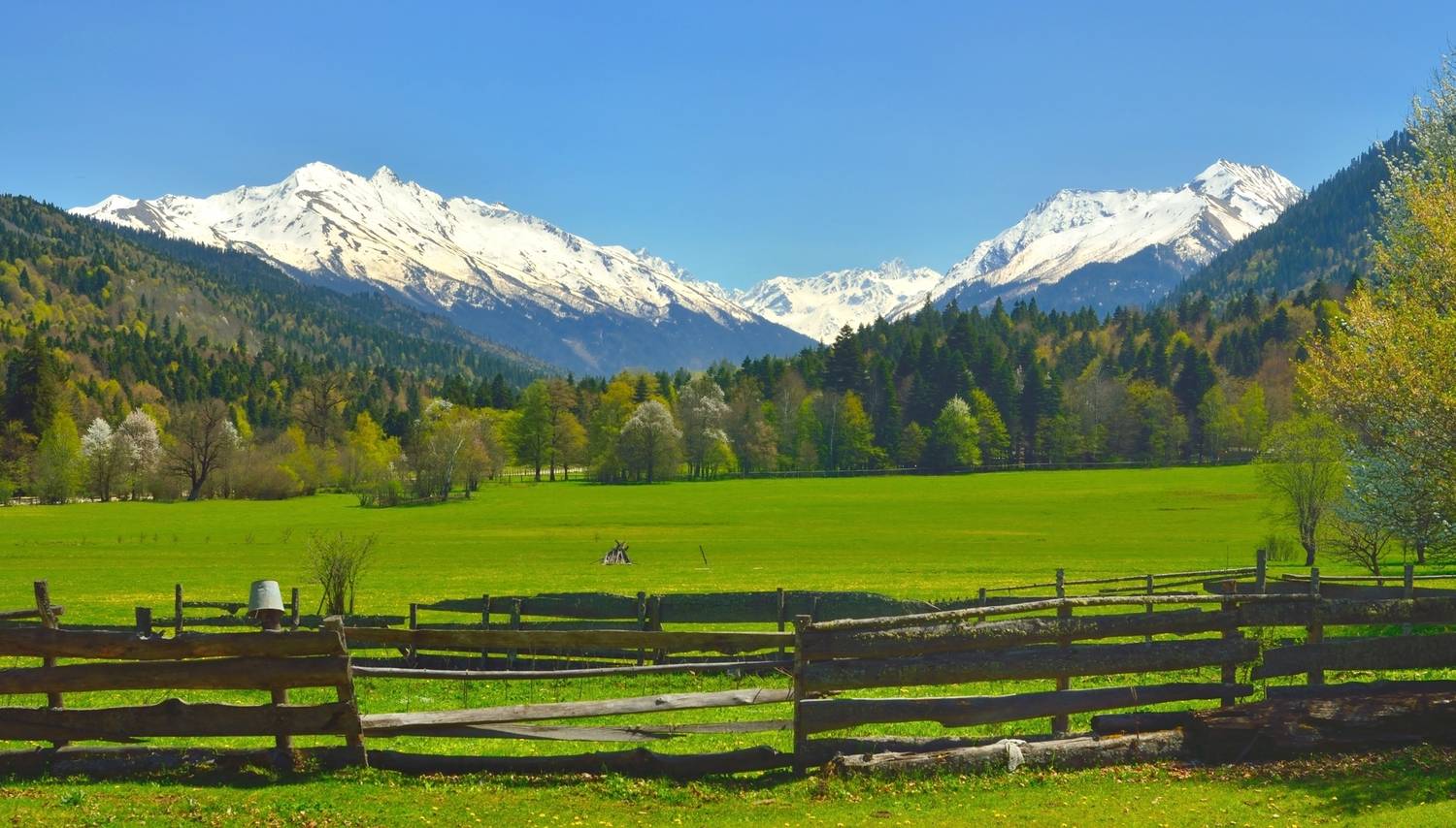 горы весна кавказ, Александр Жарников