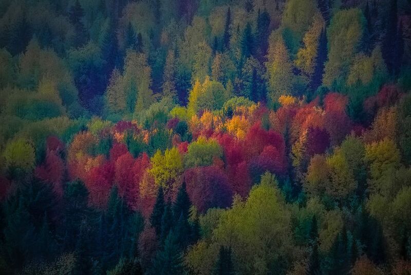 Осень. фото превью