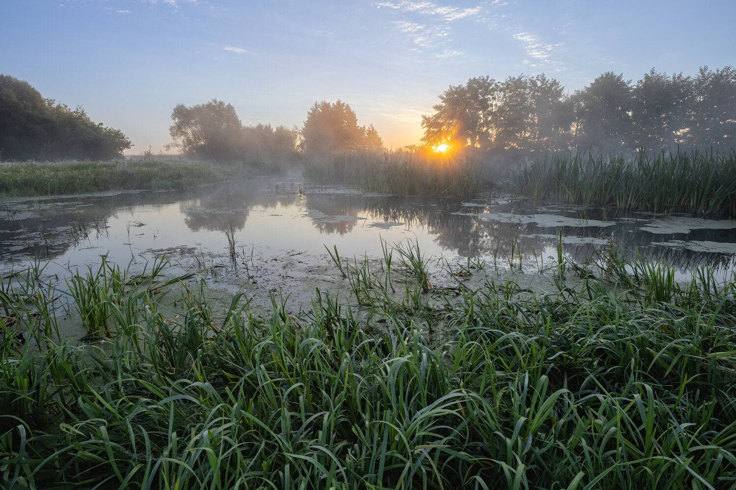 , Александр Бредихин