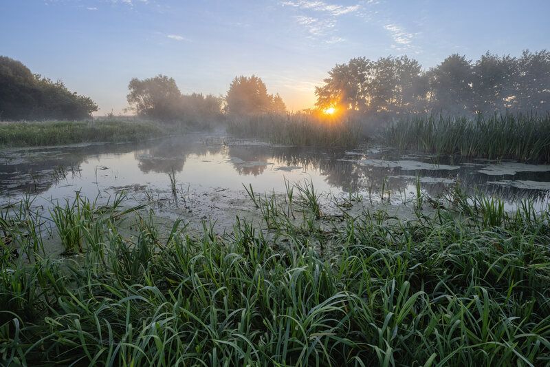 Утро августа фото превью