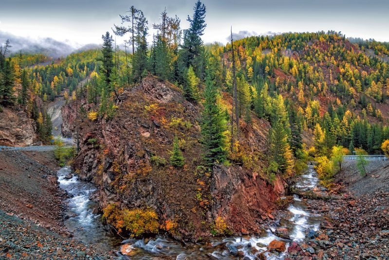 горный алтай, осень, туман, речка чибитка, дорожный поворот, красные ворота \