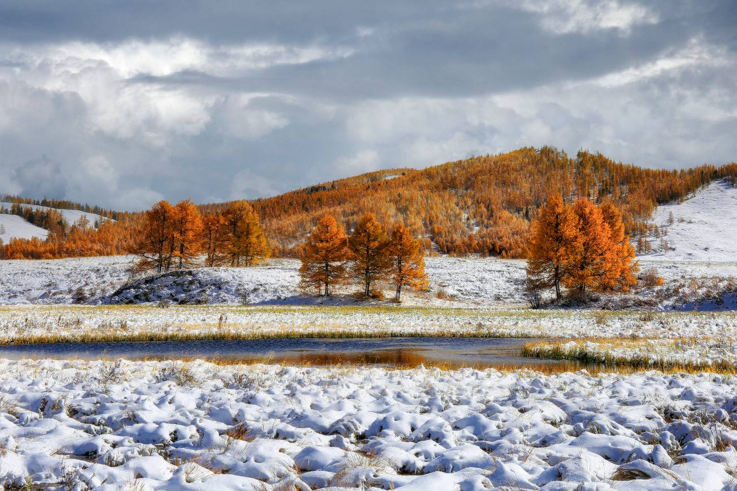 , Галина Хвостенко