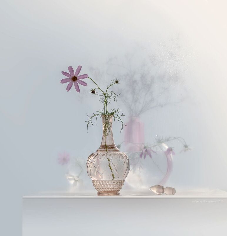 Минималистичное... Космея фото превью