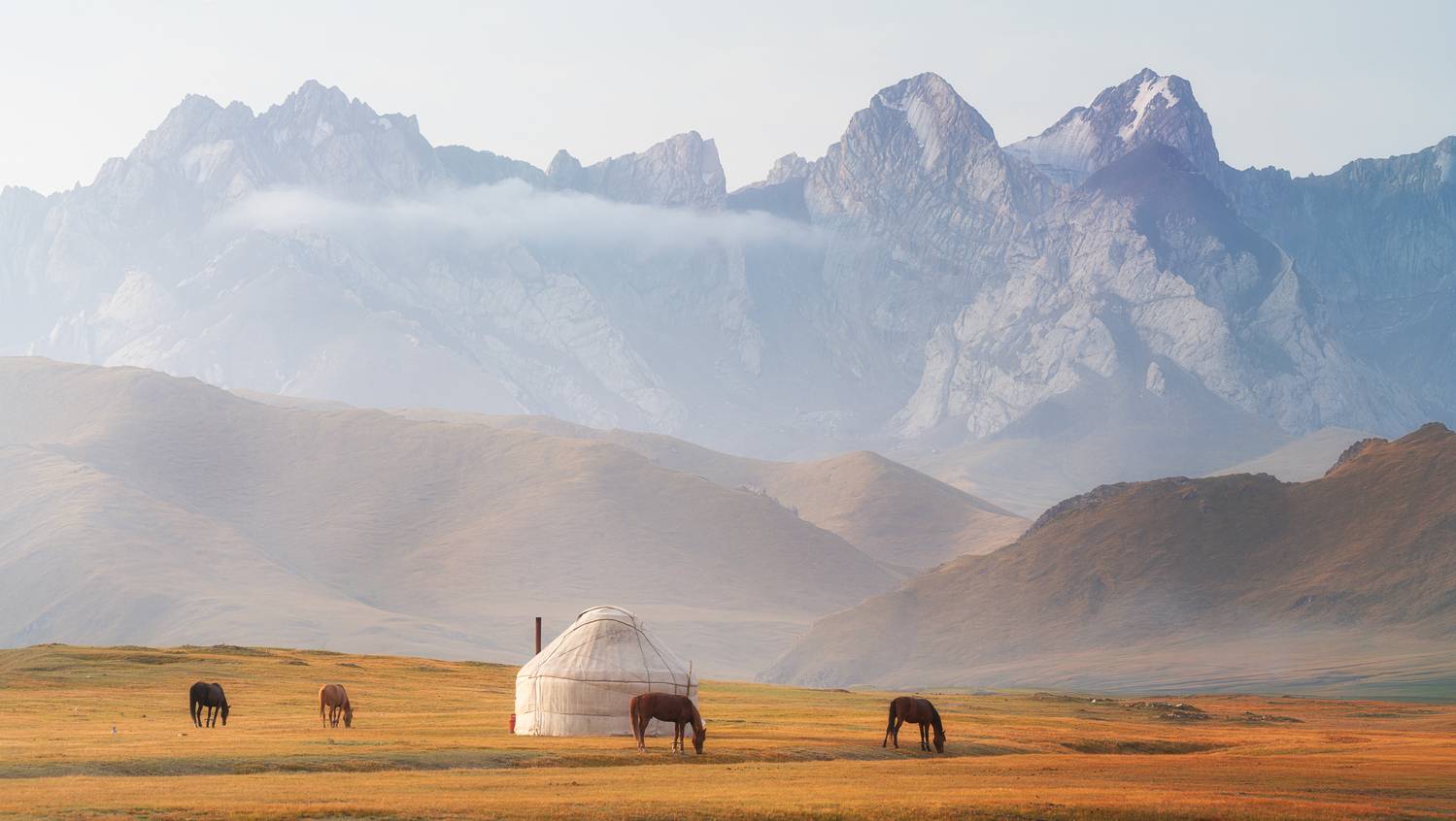 , Антон Агарков