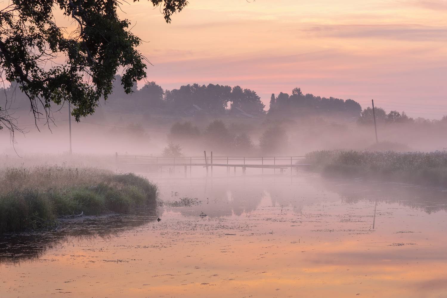 , Загруев Михаил