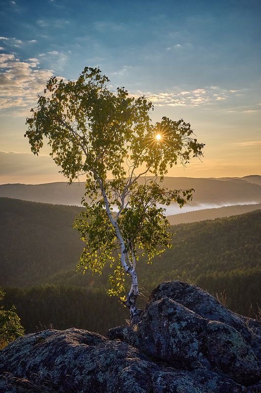 *** фото превью