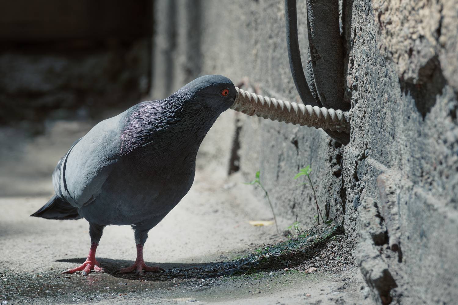 , Андрей Иванов