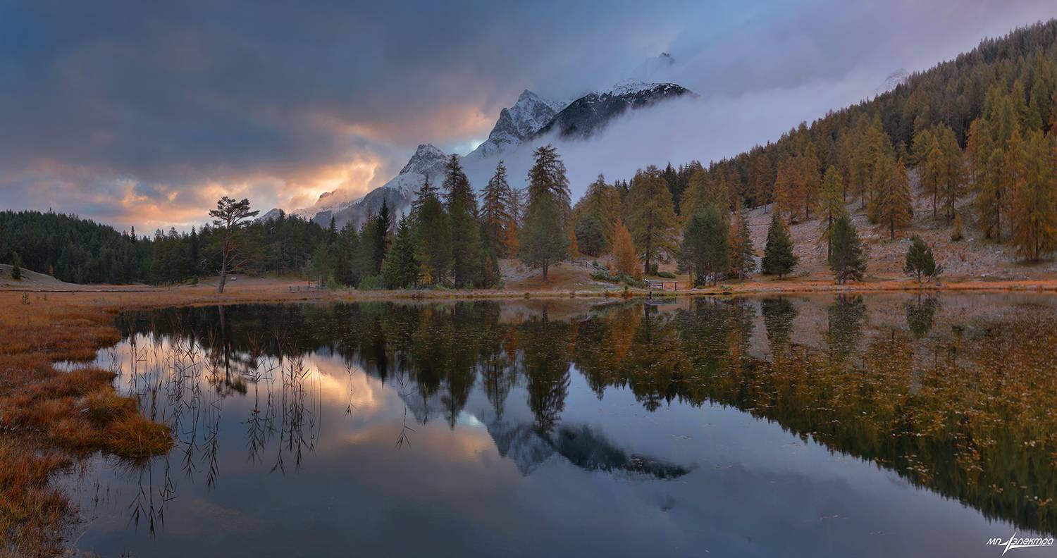 swiss, Матвеев Николай
