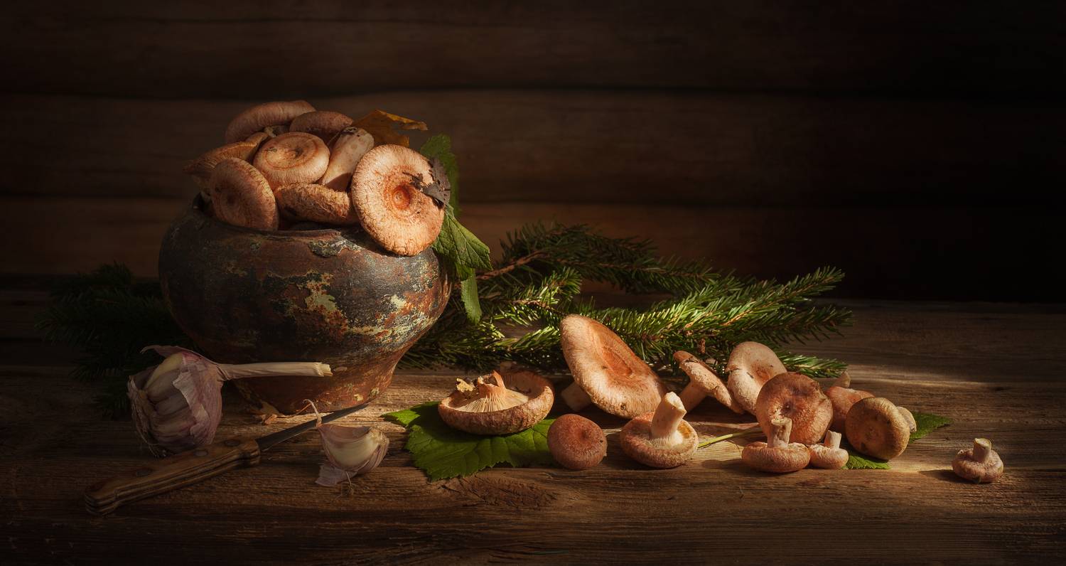 , Хвойнова Елена