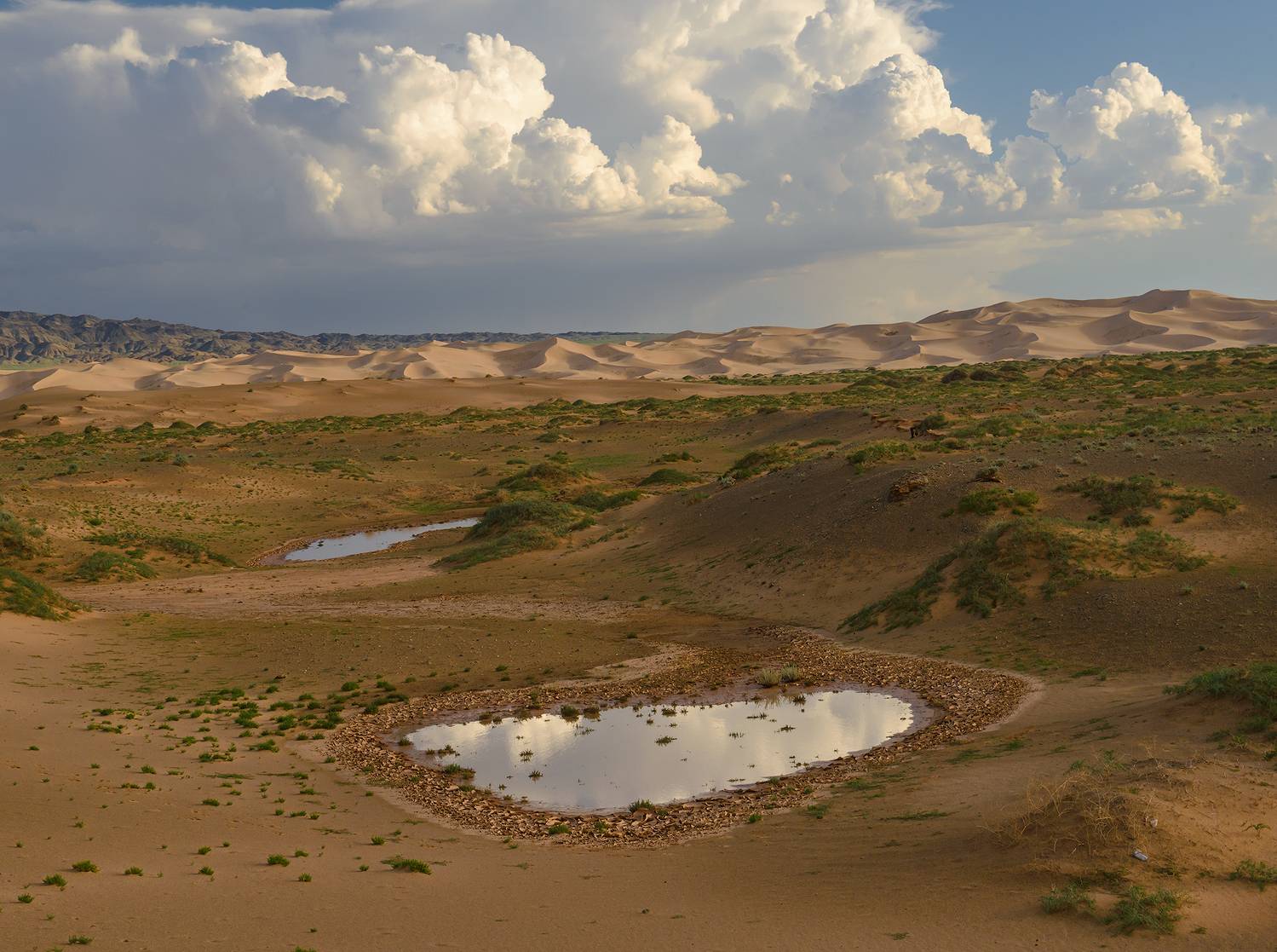 Монголия, Гоби, Эдуард Кутыгин
