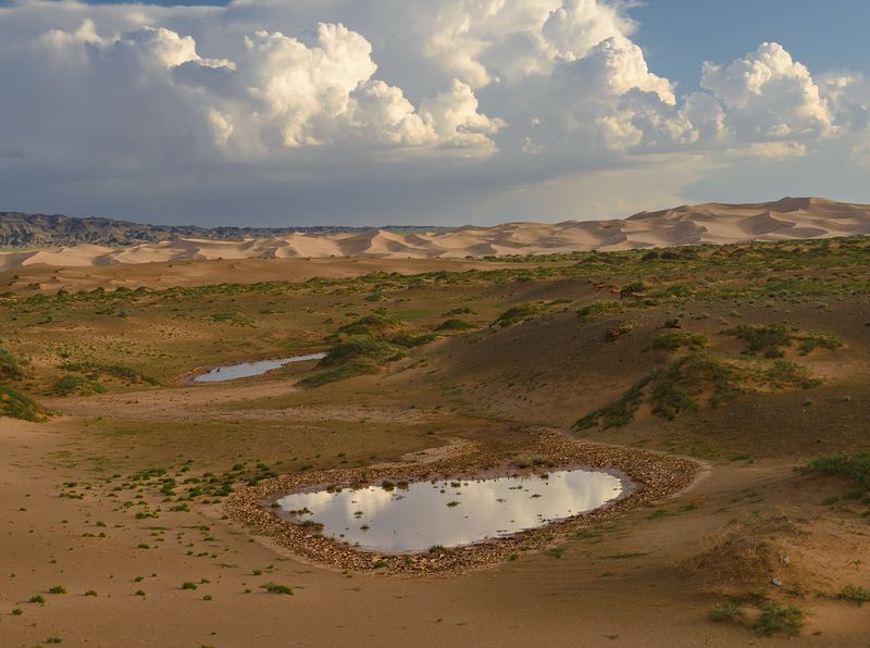 Монголия, Гоби Фототур в Монголию 09.202 фото превью