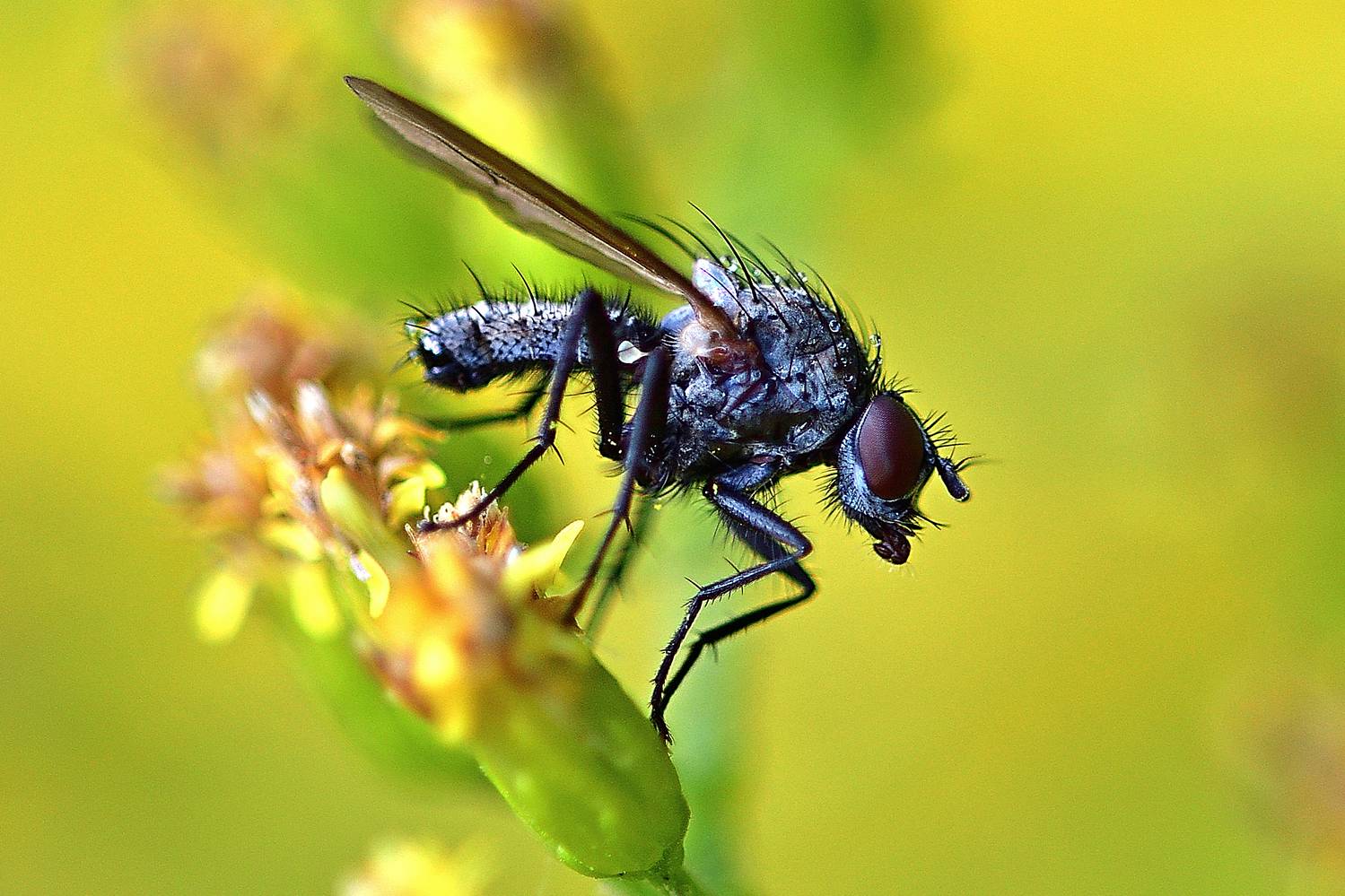 , Корнейчук Игорь