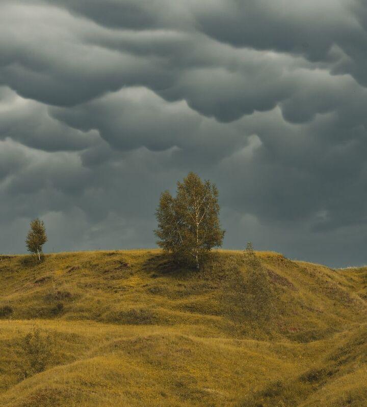 Облака Мамматусы и берёзы на холмах фото превью