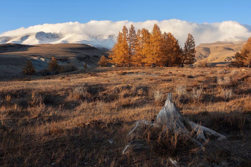 Вечер уходящего дня. Алтай 2024. фото превью
