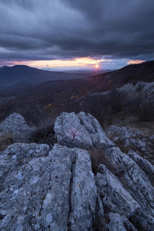 В джунглях Чатырдага фото превью