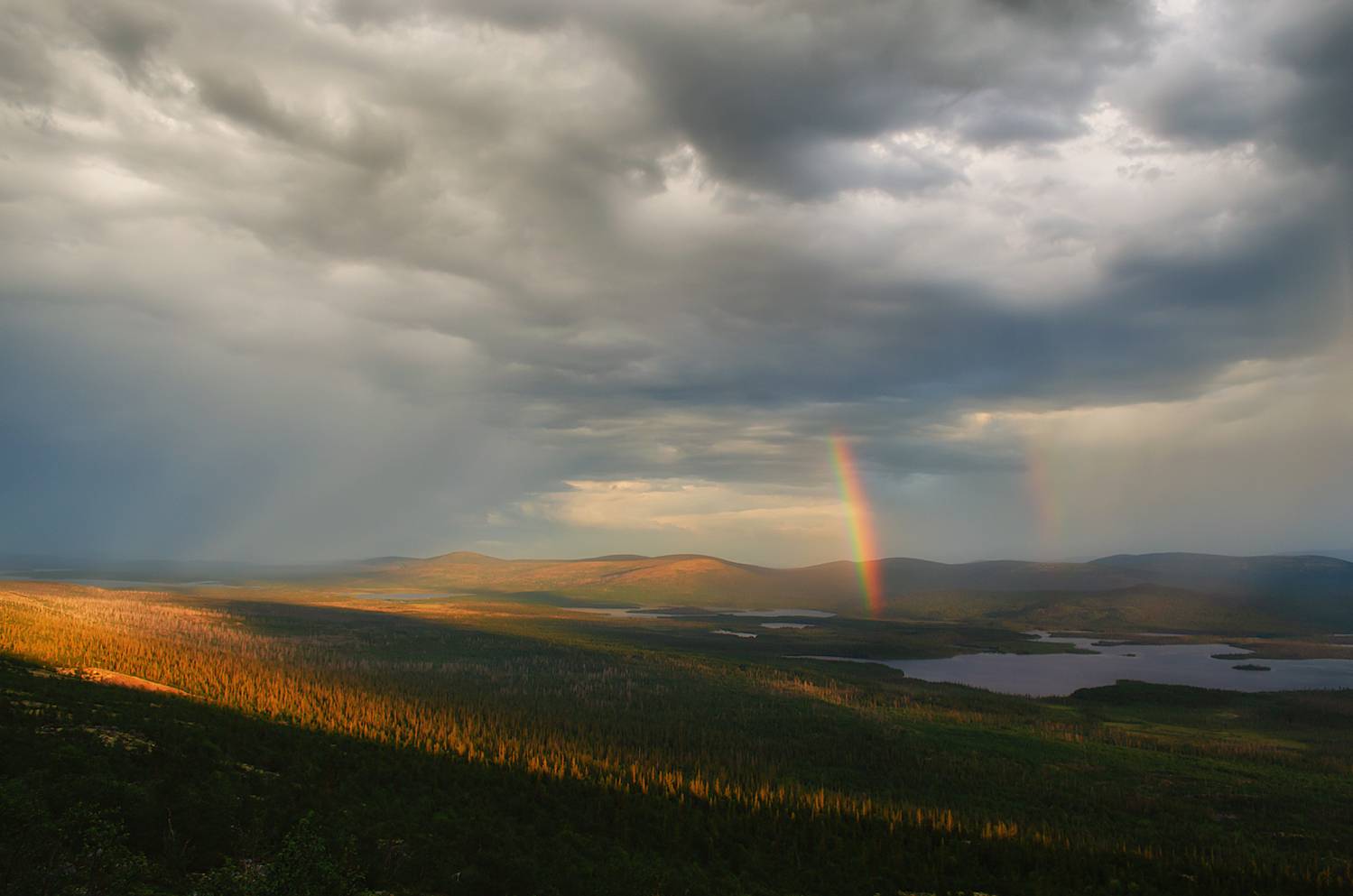 , Тихонов Сергей